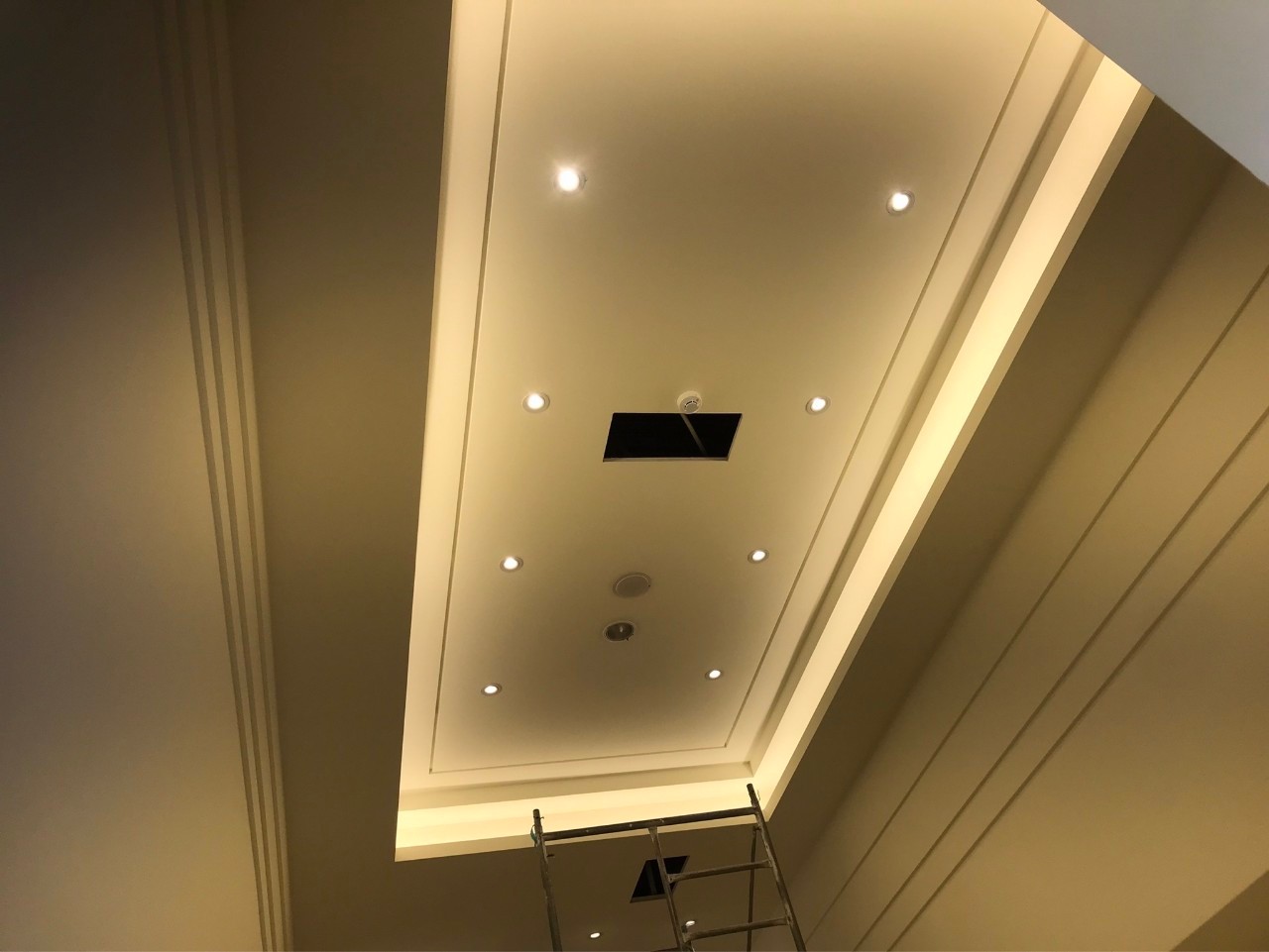 信大國際多媒體股份有限公司-廠房、倉庫及員工宿舍增建工程